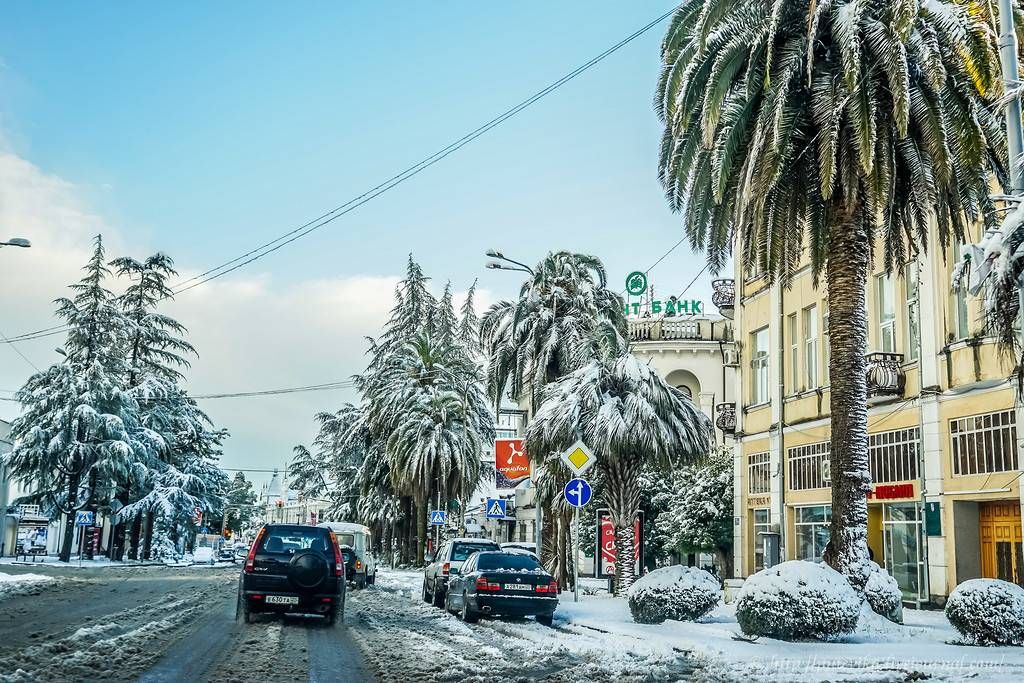 Абхазия в январе фото